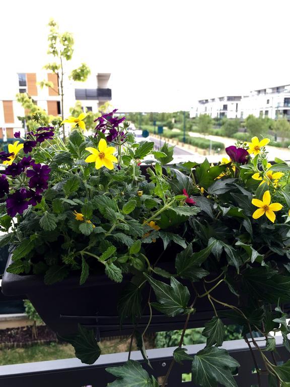 Appartement Copenhague Disneyland 몽테브랭 외부 사진